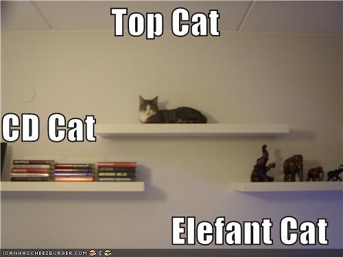 Top Cat CD Cat Elefant Cat