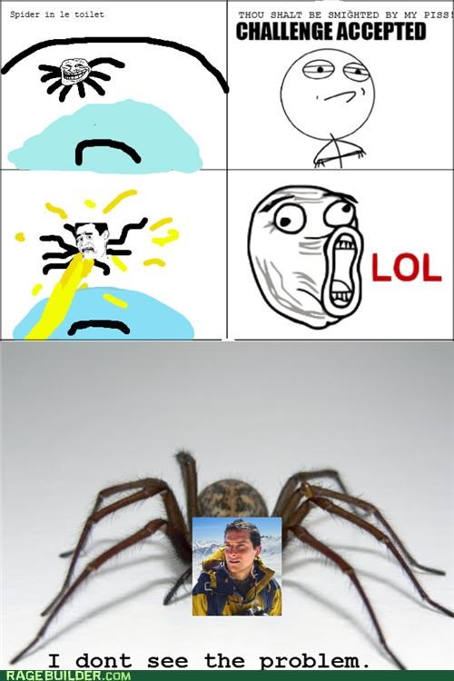 Spider in the Toilet