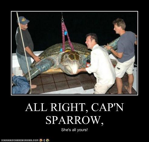 ALL RIGHT, CAP'N SPARROW,