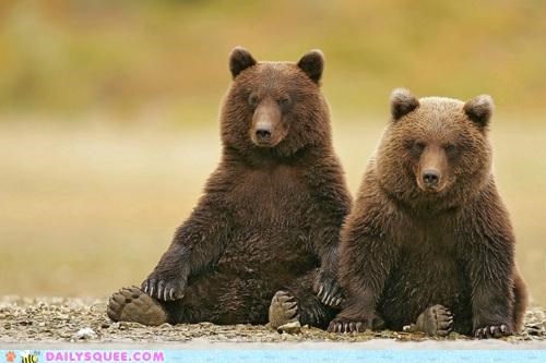 Acting Like Animals: Meditation Makes Me Tired...