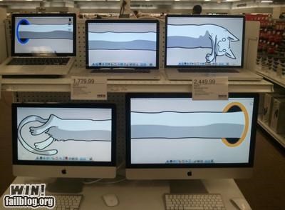 Display WIN