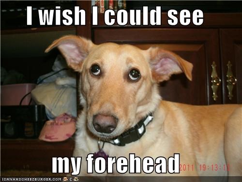 I wish