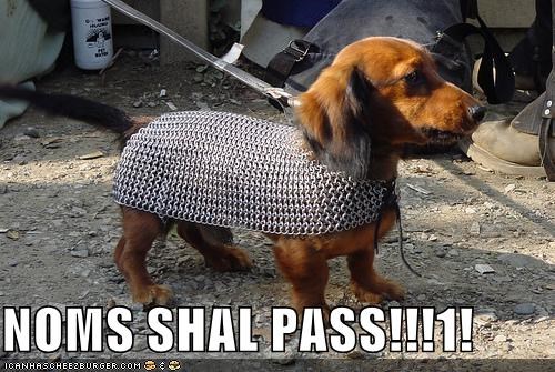 NOMS SHAL PASS!!!1!