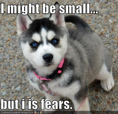 I might be small...