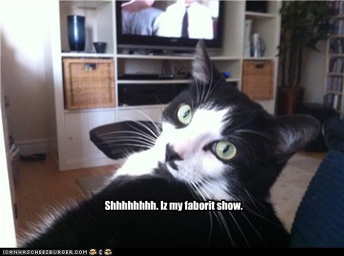 Shhhhhhhh. Iz my faborit show.
