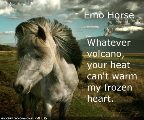 In Iceland, They Call Them "Emös"