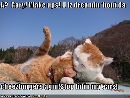 A?  Gary! Wake ups! U iz dreamin 'bout da   cheezburgers agin!Stop bitin my ears!