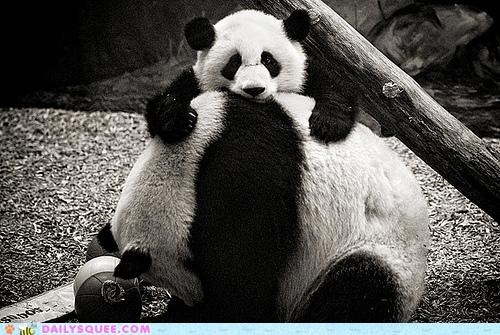 Squee Spree: League Bowling, Panda Style