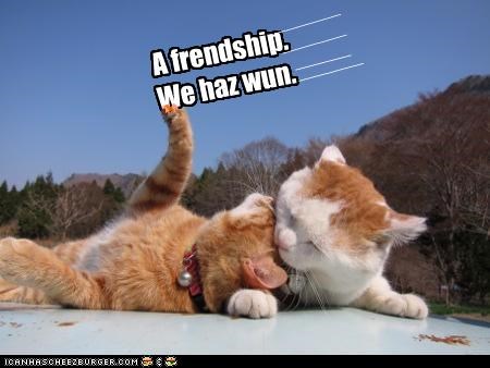 A frendship. We haz wun.