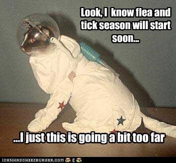 Look, I  know flea and tick season will start soon...
