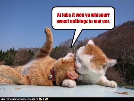 Ai lubs it wen yu whispurr sweet nuthingz in mai eer.