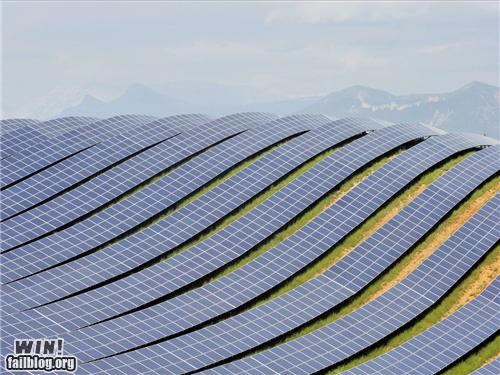 Solar Farm WIN