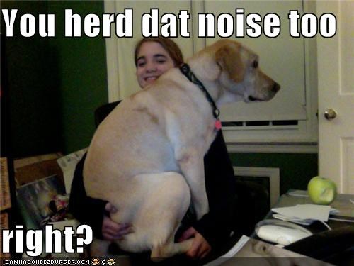 You herd dat noise too   right?