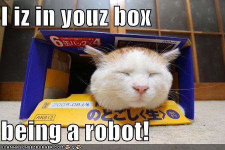 I iz in youz box  being a robot!
