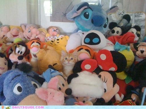 Camouflage FAIL, Squee WIN!