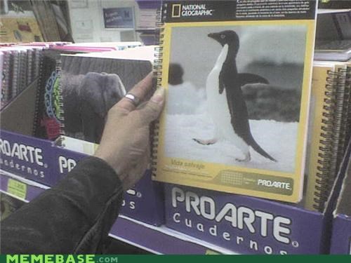 Socially Akward Penguin IRL: Too Awkward for Nature Books