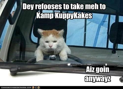 Dey refooses to take meh to Kamp KuppyKakes