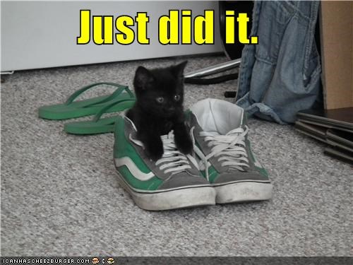 Just did it.