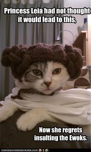 Princess Leia had not thought it would lead to this,