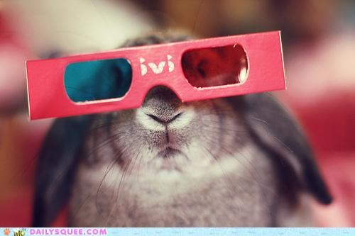 Acting Like Animals: Bunday... in 3-D!!