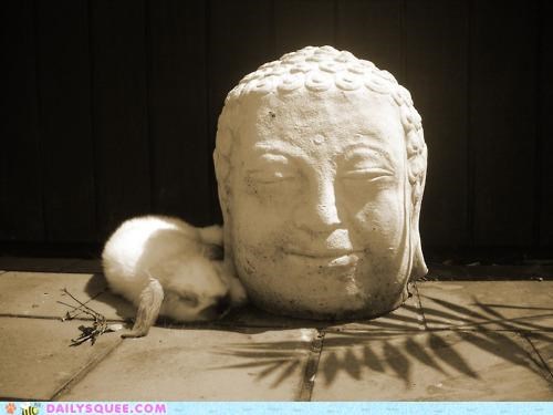 Acting Like Animals: A Buddhaful Bunday Morning