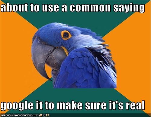 Paranoid Parrot: That's the Way the Google Searches