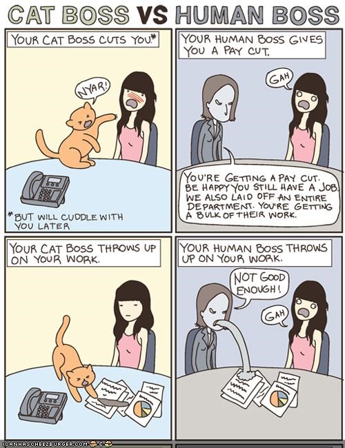 Kitteh Komic of teh Day: Cat Boss vs. Human Boss