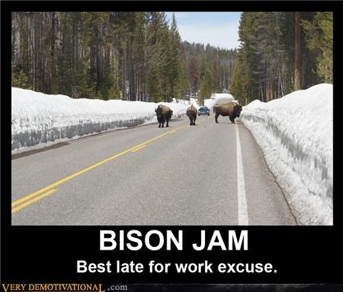 BISON JAM