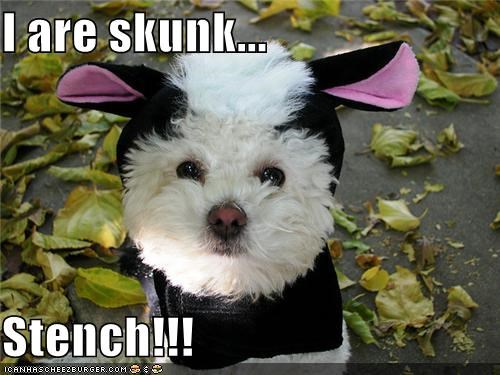 I are skunk...  Stench!!!