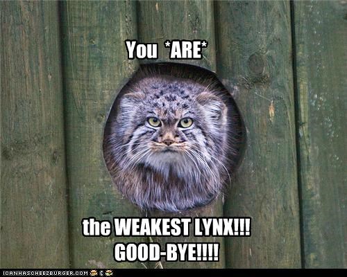 You  *ARE*






the WEAKEST LYNX!!!
GOOD-BYE!!!!