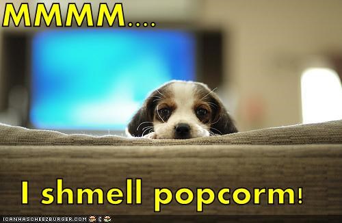MMMM....  I shmell popcorm!