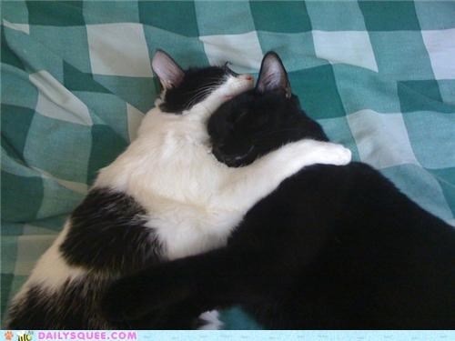 Napping + Cuddling = Maximum Cute