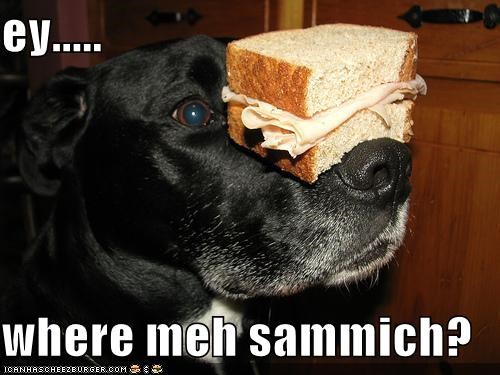 ey.....  where meh sammich?