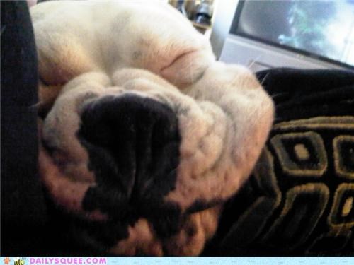 Smoooooosh!