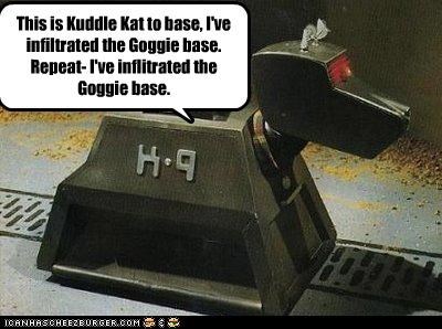 This is Kuddle Kat