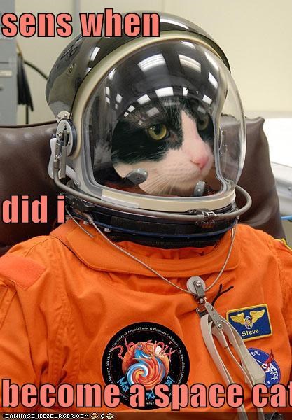 sens when did i  become a space cat