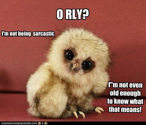O RLY?