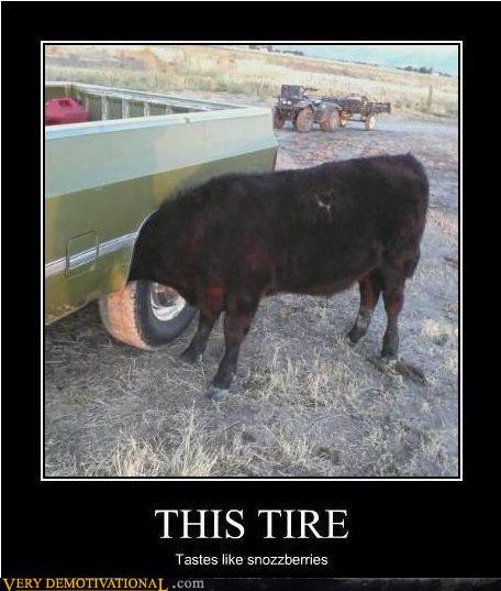 THIS TIRE