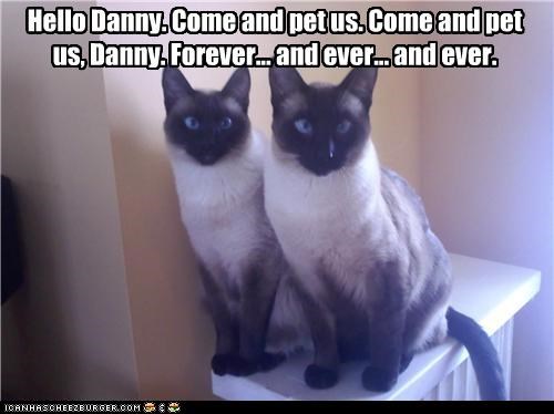 Hello Danny.