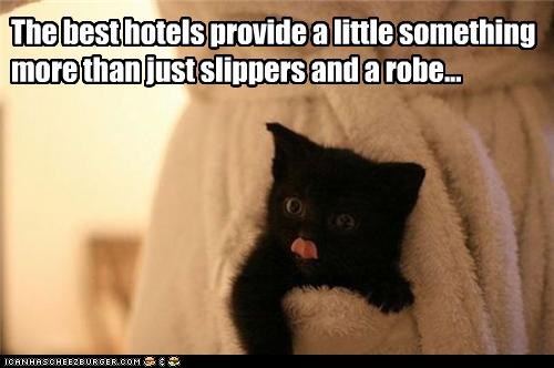 The best hotels