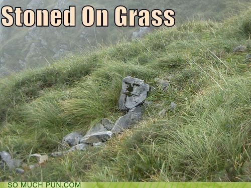 Let's Just Hope He Doesn't Get Too Blazed...