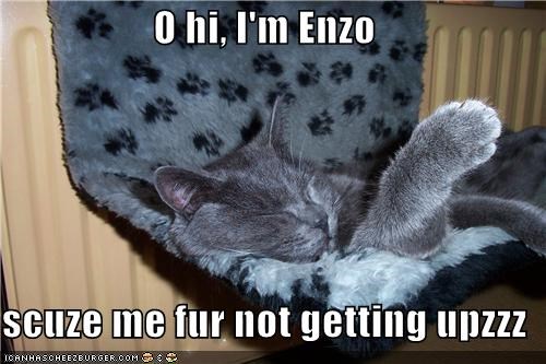 O hi, I'm Enzo  scuze me fur not getting upzzz