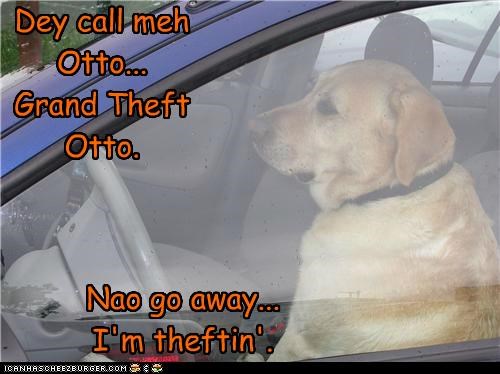 Dey call meh Otto...