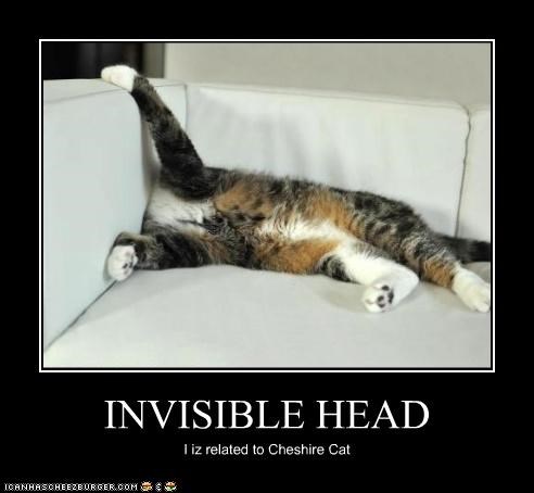 INVISIBLE HEAD