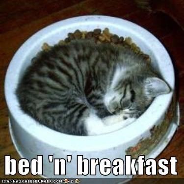bed 'n' breakfast