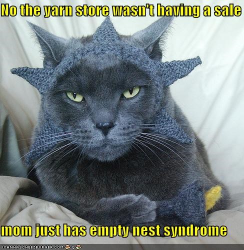No the yarn store wasn't having a sale  mom just has empty nest syndrome