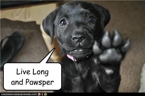 Live Long and Pawsper