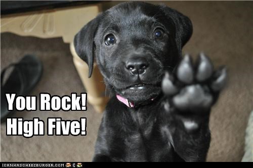 You rock! High five!