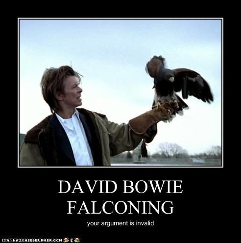 DAVID BOWIE FALCONING