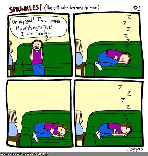 Kitteh Komics of teh Day: Sprinkles (The Cat Who Became Human)